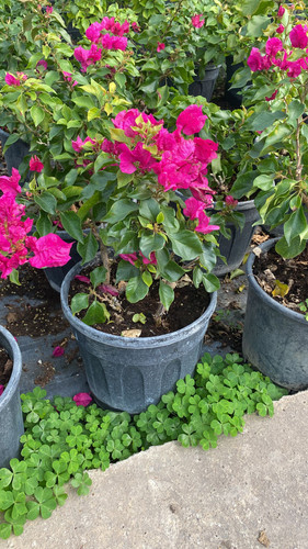 WhatsApp Image 2023 03 02 at 14.08.54.jpg