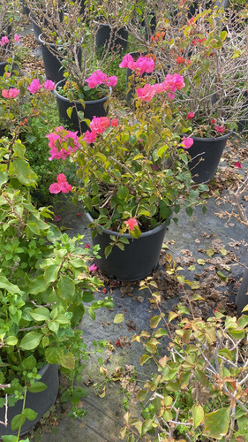 WhatsApp Image 2023 03 02 at 14.08.32.jpg