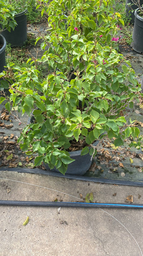 WhatsApp Image 2023 03 02 at 14.09.19.jpg