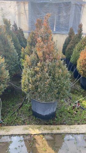 WhatsApp Image 2023 03 02 at 14.52.04.jpg