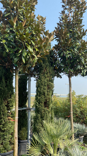 WhatsApp Image 2023 03 02 at 14.51.43.jpg