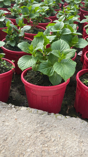 WhatsApp Image 2023 03 02 at 14.16.17.jpg