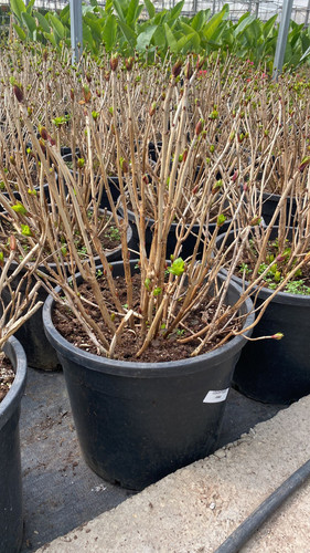 WhatsApp Image 2023 03 02 at 14.11.46 (1).jpg