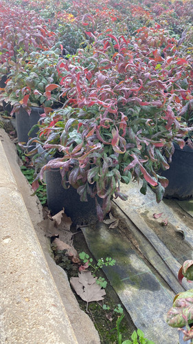 WhatsApp Image 2023 03 02 at 14.57.10.jpg