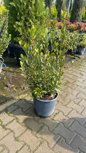 WhatsApp Image 2023 03 02 at 14.53.08.jpg