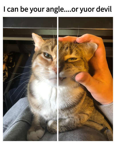 1677895726352.png