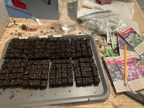 3F71229F EC85 4F83 8EE1 CCEEC0DB912B.jpg