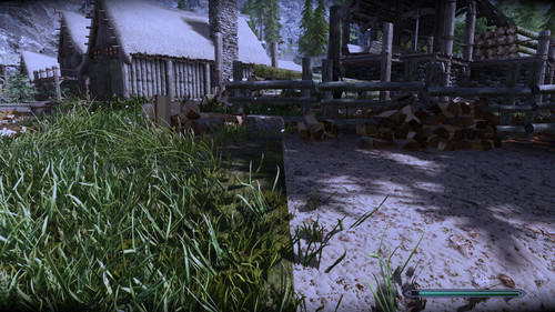 2.grass.jpg