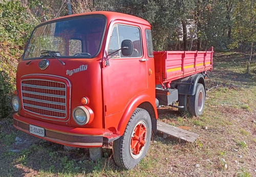 331627074 721398992823286 2260521659702139938 n.jpg