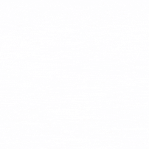 Buyers Of Arista Switches.gif