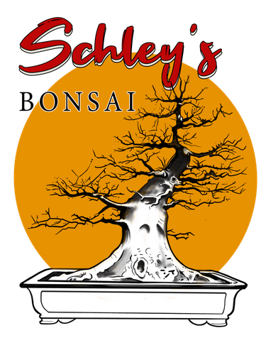 schleys redletters22 copy.png