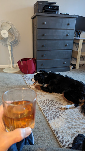 PXL 20230307 214947630~2.jpg