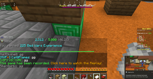 Weird minecraft bug.png