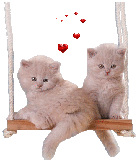oie overlay (1).gif