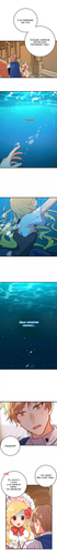 06.png