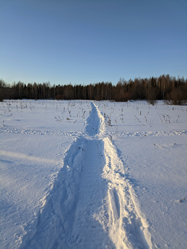 PXL 20230306 4.jpg