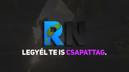 risenetworkconnectwithsm (1).png