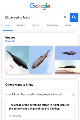 1678134258850.jpg