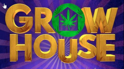 2023 03 06 19 01 41 grow house logo Google Search — Mozilla Firefox.png