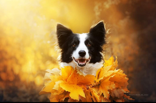 Screenshot 2023 03 06 23 32 04 462 edit com.facebook.katana.jpg