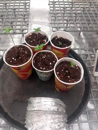 IMG 20230307 012048 667.jpg