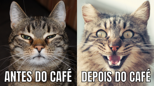 Gato Antes do Café Depois do Café Duas Fotos e Texto Meme.png