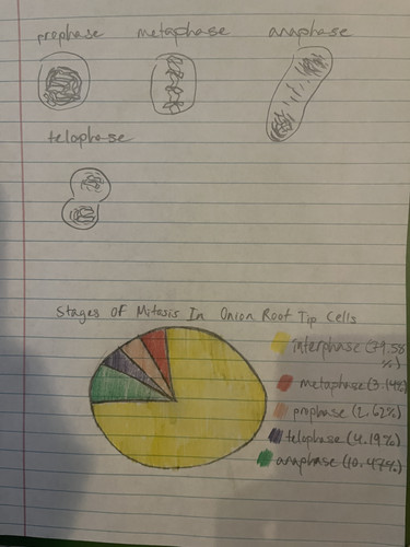 A1019056 00BE 4C16 8F4F 9E85CD9FCB42.jpg