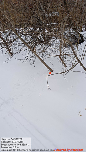 IMG 20230304 170520.jpg