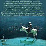 nietzsche consider the cattle.png