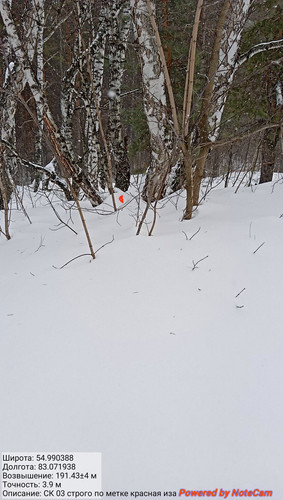 IMG 20230304 165403.jpg