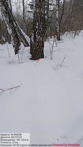 IMG 20230304 165602.jpg