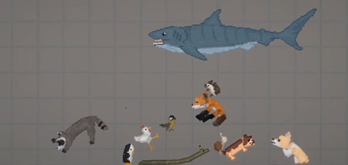 Animals.jpg