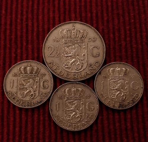 1677905606543.jpg