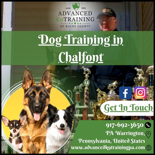The Best Dog Training Centre in Chalfont– Advanced K9 Training.jpg
