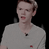 384b.gif