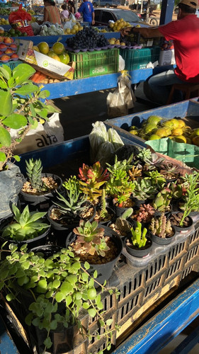 br 11134103 23010 9w3jt6mo80lvda.jpg