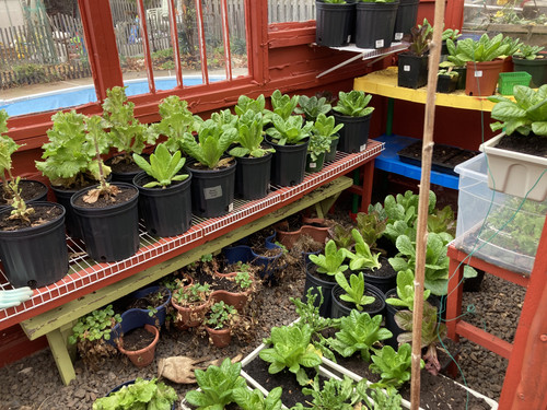 C3850F9B 48E4 49F9 9E13 8512C0DB9C4B