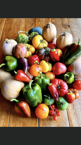 F2DB7BC1 A526 4255 A6FE 21933CBAF4CB