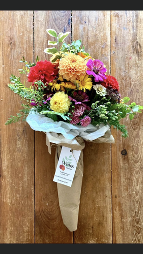 02D8D177 5E18 47C8 B681 CD36708C1A11