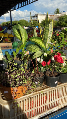 br 11134103 23010 scoit6mo80lv38.jpg