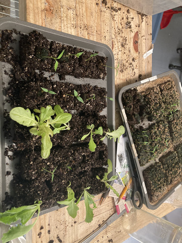 C792A373 0D09 4CFB 893C 0C1A2AD4D5A6