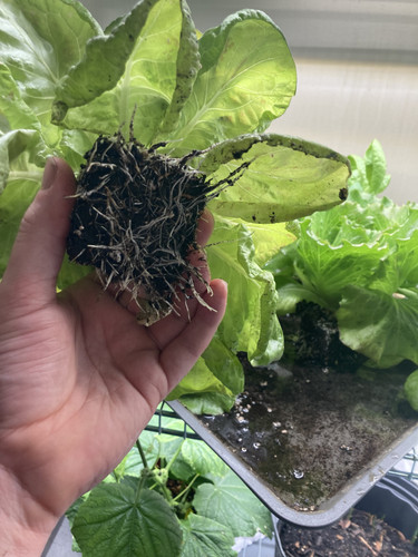 FCFC8486 FAEC 4161 997A FC2B5C3D4134