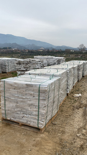 WhatsApp Image 2023 03 04 at 11.07.06 (3).jpg