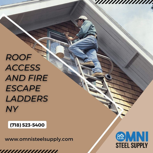 Roof Access And Fire Escape Ladders NY.jpg