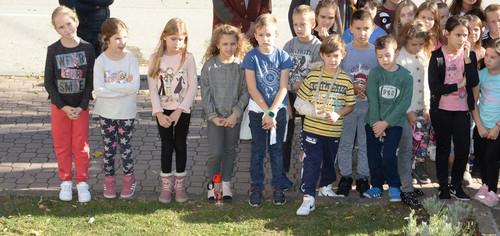 74533947 2544773172265366 5377250504281686016 n.jpg