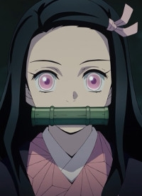 nezuko kamado demon slayerjpg.png