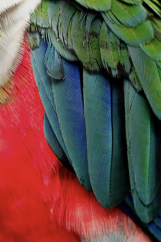 IMG 7304 3.jpg