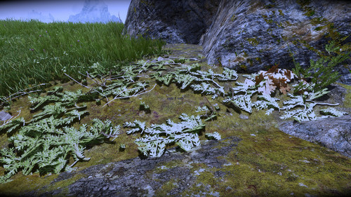 twigs floating.jpg