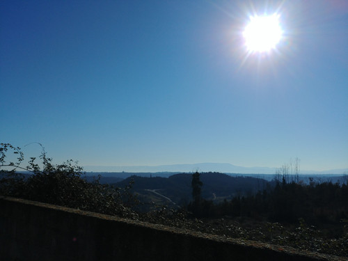 20230304 092601 HDR.jpg