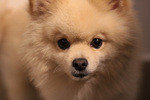 IMG 0102.jpg